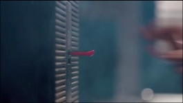 Aami Dakini - 11th July 2025